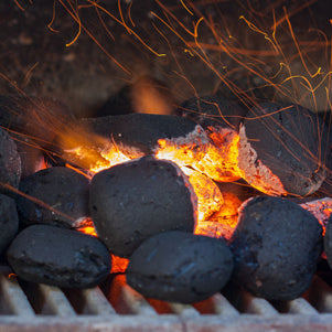 Brazier Coal 20kg bag – Through The Courtyard